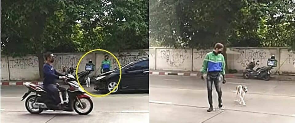 Homem para sua moto para poder ajudar cachorro a atravessar a rua