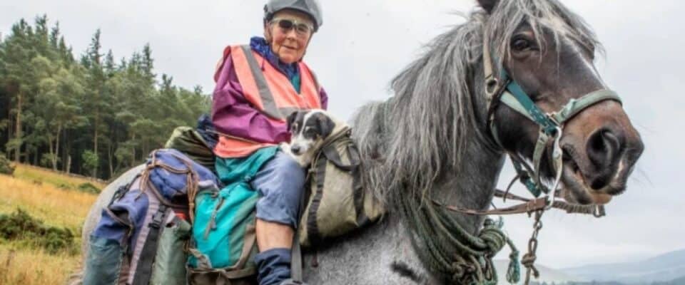 Mulher de 80 anos embarca em uma jornada anual de cavalo com seu cachorro deficiente junto para o passeio