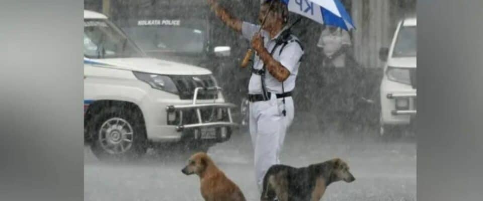 Policial compartilha guarda-chuva com cães de rua durante forte tempestade