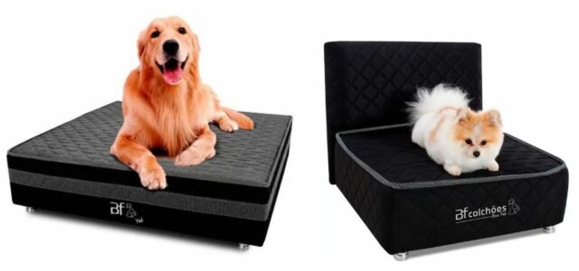 Cama box pra cachorro onde comprar com preço bom