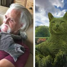 Artista de 75 anos cria arbustos 3D em homenagem ao seu gato falecido