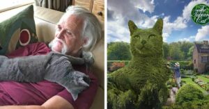 Artista de 75 anos cria arbustos 3d no formato do seu gato falecido