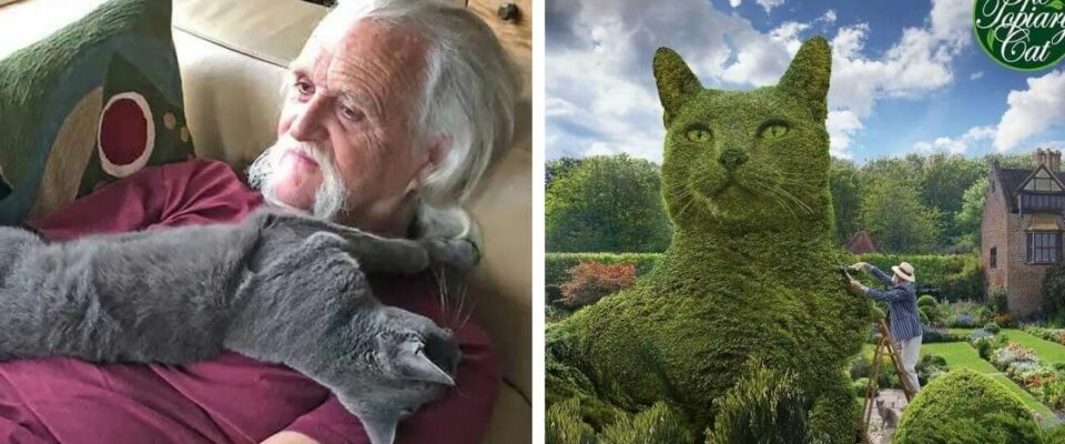 Artista de 75 anos cria arbustos 3D em homenagem ao seu gato falecido