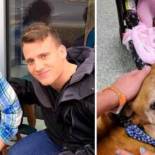 Casal adota cão de 17 anos de idade que ninguém queria e muda sua vida