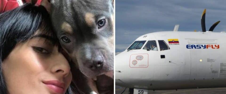 Companhia aérea deverá pagar multa pela morte de um cão