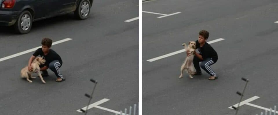 Garotinho corre para resgatar cão ferido que foi atropelado por carro