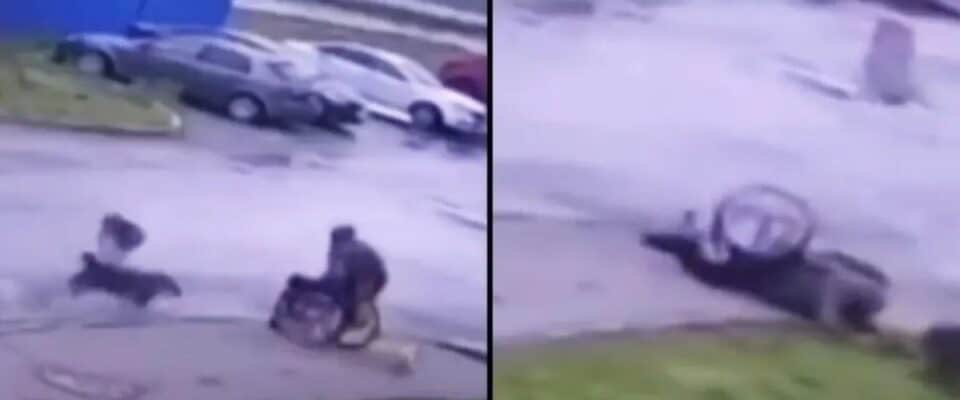 Homem em cadeira de rodas defende o seu cãozinho de ataque de cães