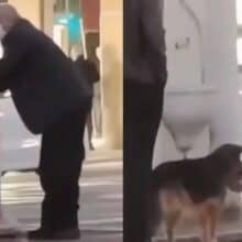 Idoso vê cão de rua com sede e dá água para ele com suas próprias mãos