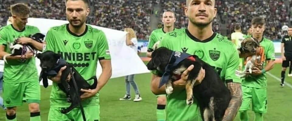 Jogadores de futebol entram em campo com cães para adoção