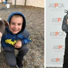 Menino de 7 anos ganha prêmio por resgatar animais de rua