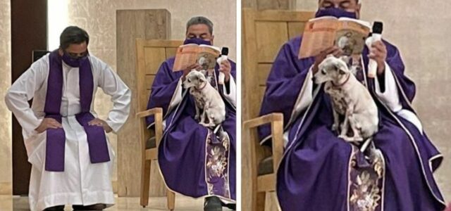 Padre leva seu cão na missa para não deixá-lo sozinho pois estava doente