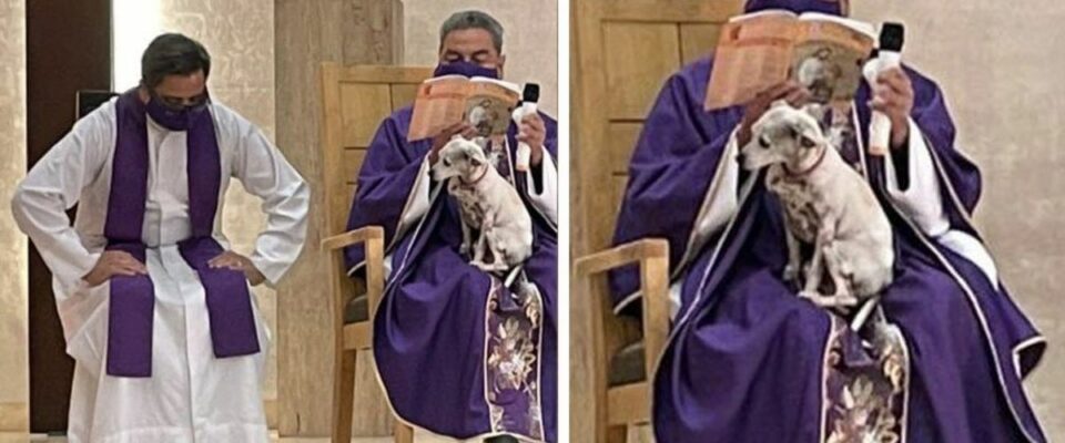 Padre leva seu cão na missa para não deixá-lo sozinho pois estava doente