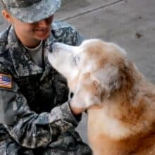 Soldado surpreende seu cão idoso depois de estar fora por 4 meses