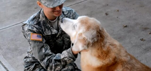 Soldado surpreende seu cão idoso depois de estar fora por 4 meses