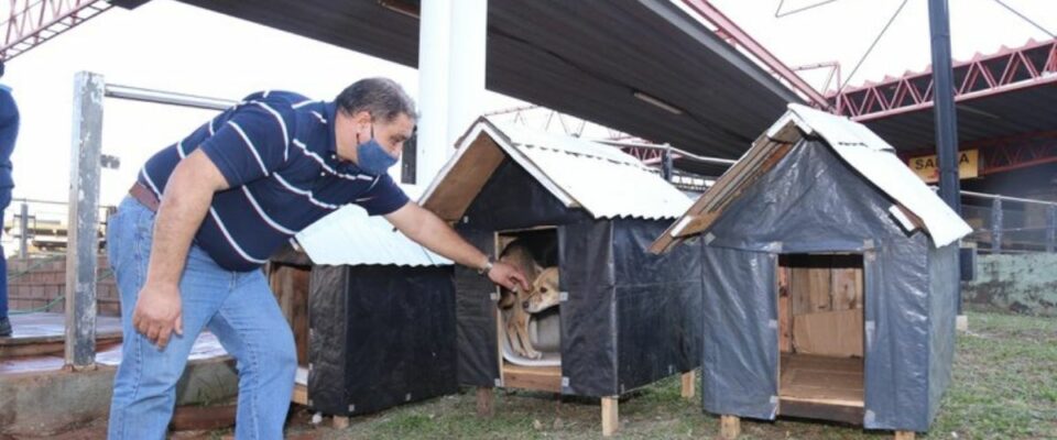 Taxista adora cães e instalou 4 casinhas para proteger eles do frio e chuva