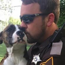 Cão é abandonado em parque foi resgatado e adotado por um policial