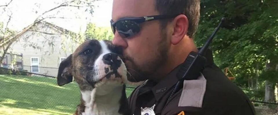 Cão é abandonado em parque foi resgatado e adotado por um policial