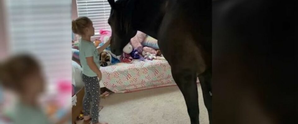 Garotinha gosta tanto de cavalos que leva um escondido para seu quarto