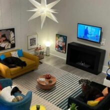 Homem transforma o quarto em uma sala de estar para seus cães