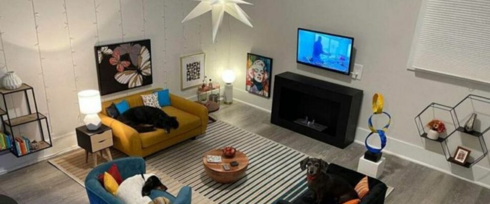 Homem transforma o quarto em uma sala de estar para seus cães