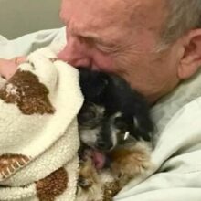 Idoso abraça cão que faleceu que foi seu companheiro durante 16 anos