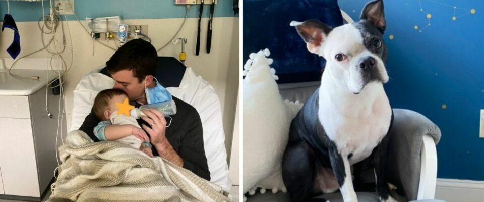 Cão salva a vida de um bebê depois que ele parou de respirar