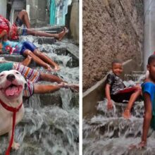 Foto de crianças na chuva com cão sorrindo está fazendo muito sucesso