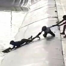 Garotos se unem para salvar a vida de um cachorro em uma barragem