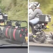 Motociclista adaptou sua moto para levar seus cães juntos em viagens