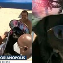 Cachorro de óculos de sol e chapéu chama atenção na praia