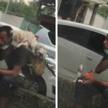 Homem compartilha sua comida com seu cachorrinho nas costas