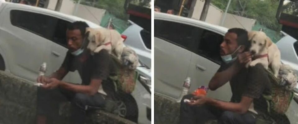 Homem compartilha sua comida com seu cachorrinho nas costas