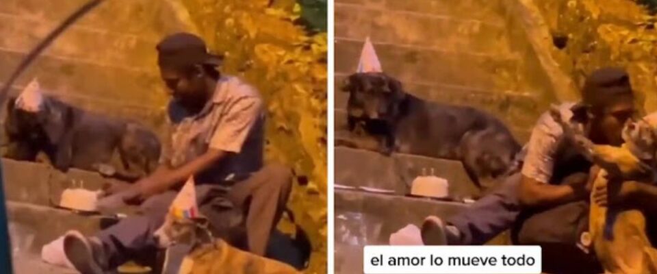 Morador de rua comemora aniversário com seus dois cachorros