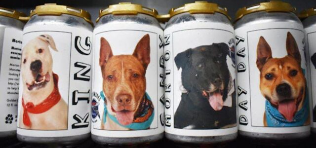 Mulher encontra o seu cão perdido há 3 anos em uma lata de cerveja