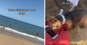 Mulher leva seu cão a praia