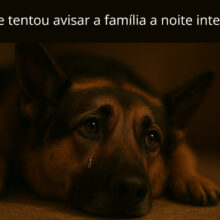 Ele tentou avisar a família a noite inteira… mas só entenderam depois